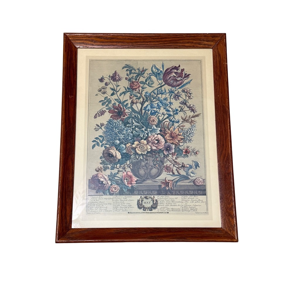 Robert Furber May Botanical Print Framed Floral Art Wood Frame Multicolor 1730